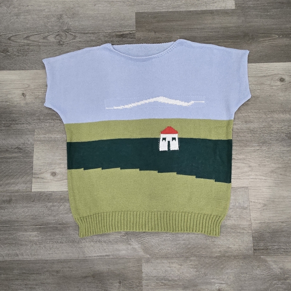NWOT Unique Landscape Scene Sweater